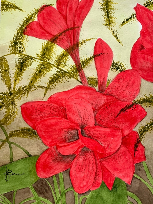 Double Amaryillis by artist K June Baker